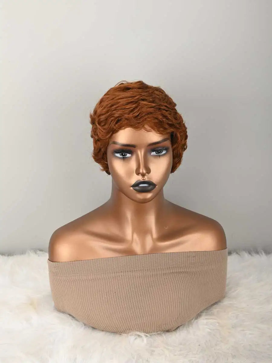 Wigs for Black Women Pixie Cut Human Hair Wigs for Women Daily Use Hair Chic Elegent Synthetic Wigs