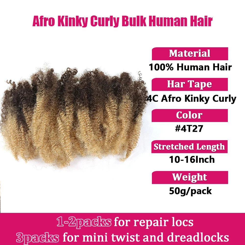 Extensions Vrac Afro Kinky Curly Cheveux Humains | 50g | Tressage Ombre Blonde | Sans Trame | Remy | Locs Crochet (v1)