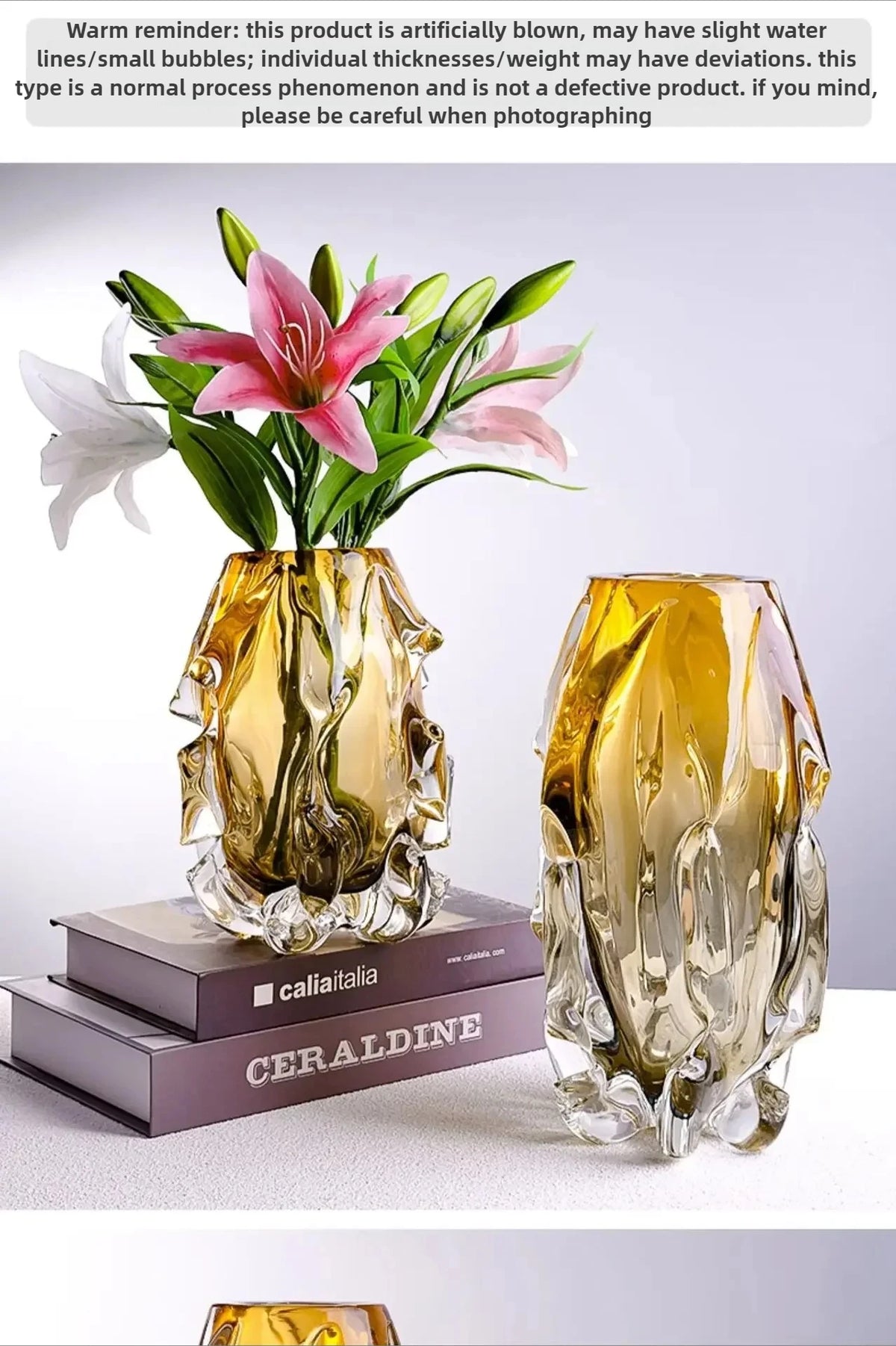 Vase Verre Élégant Base Bois | Plante Hydroponique | Décoration Bureau & Maison