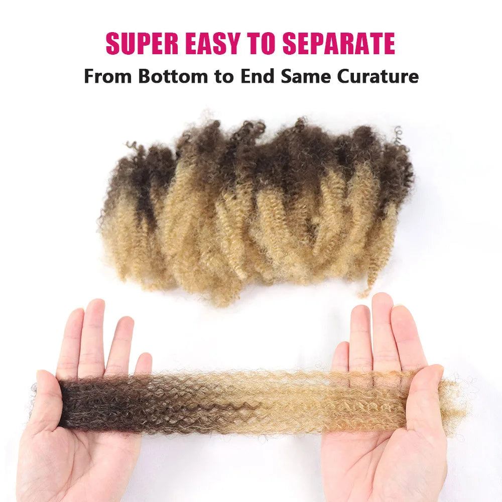 Extensions Vrac Afro Kinky Curly Cheveux Humains | 50g | Tressage Ombre Blonde | Sans Trame | Remy | Locs Crochet (v2)