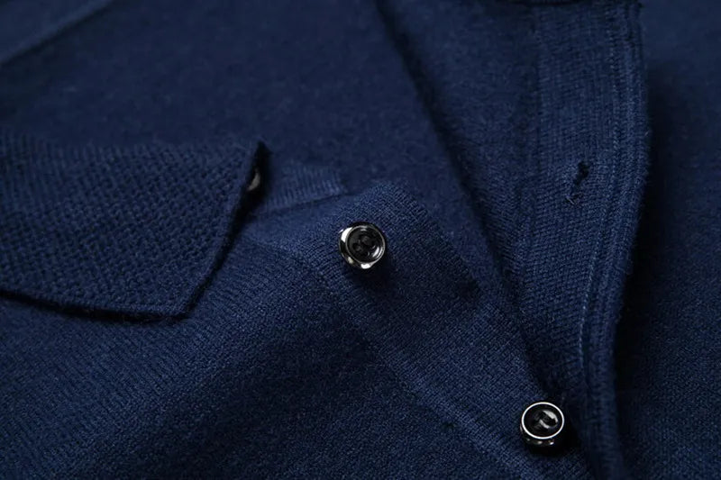 Luxury Men's Cashmere Sweater 100% Merino Wool Buttoned Pullover Autumn Winter Polo Collar Knitwear Male Casual Warm Jumper Tops