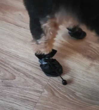 Chaussures Imperméables Chien & Chat | Lot de 4 Bottes Antidérapantes | Accessoire Patte Animal