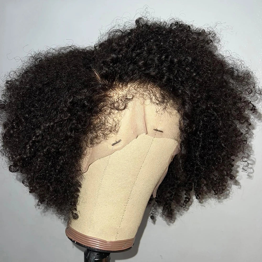 Perruque Afro Kinky Curly 4C Edges | 13x6 HD Lace Frontal | Wear & Go | 4x4 HD Closure | Pré-Pluçuée | Femme
