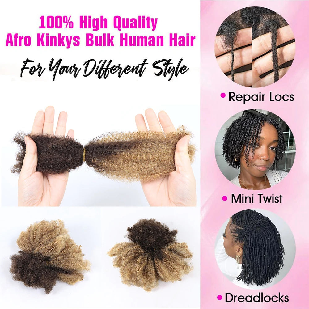 Extensions Vrac Afro Kinky Curly Cheveux Humains | 50g | Tressage Ombre Blonde | Sans Trame | Remy | Locs Crochet (v1)