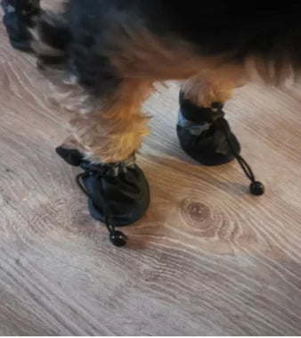 Chaussures Imperméables Chien & Chat | Lot de 4 Bottes Antidérapantes | Accessoire Patte Animal